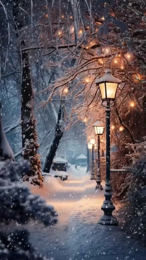 Winter Scenes Wonderland, Beautiful Winter Pictures, Beautiful Winter Scenes, Lamp Posts, Atmosphere Lamp, Christmas Scenery, Winter Szenen, Christmas Phone Wallpaper, Winter Wallpaper