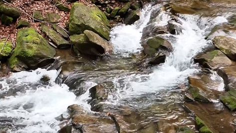 Evening Meditation, Stream Water, Free Stock Footage, River Water, Mountain Stream, Free Footage, Free Stock Video, Black Screen, Water Flow