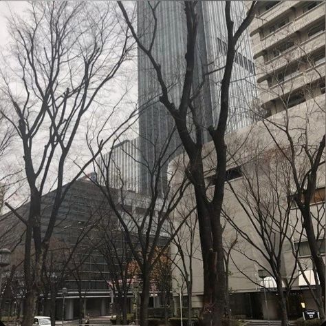 Grey, Trees, Cloudy Day, Building