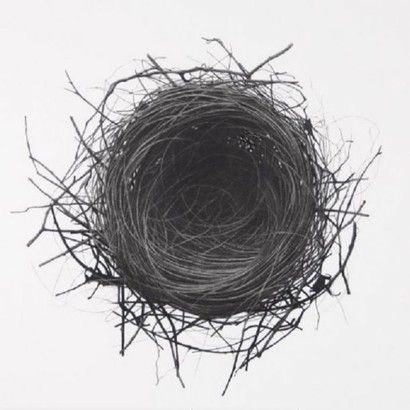 Nest Drawing, Nest Decor, Birds Nests, Nest Art, Easy Things To Draw, Sea Point, Bird Nests, Art Charcoal, Nature Sketch