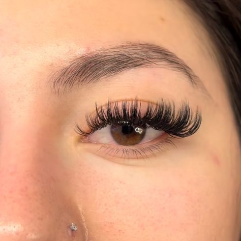 Lashes✨ #lashesanjou #lasheslasheslashes #lashesfordays #megavolumelashes #lashesbyme #russianlashes #3dlashes #lovelashes #foryou #pourtoi #unstagram Lashes Fake Eyelashes, Russian Lashes, Lash Clusters, Pretty Lashes, Extension Ideas, 3d Lashes, Fake Eyelashes, Eyelash Extension, Lash Extensions