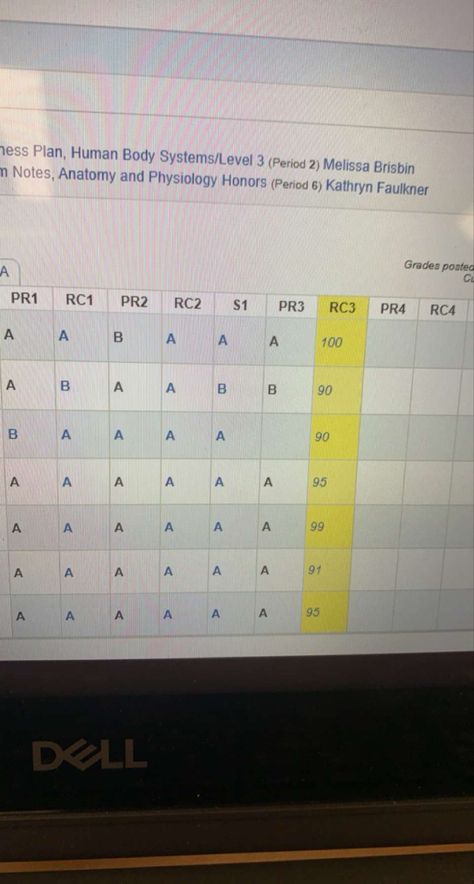 Straight A student dream grades skyward Straight As Grades, Straight A Grades, Straight A Student, Star Test, Manifest Board, Vision Bored, Perfect Grade, Straight As, Year Goals