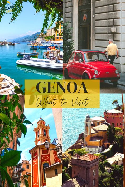 Here are our top things you have to visit while you are in gorgeous Genoa. A place worth visiting. Things To Do In Genoa Italy, Genova Italy, Italy Trip Planning, Genoa Italy, Places Worth Visiting, Cruise Europe, Best Rooftop Bars, Italian Riviera, Vacation Goals