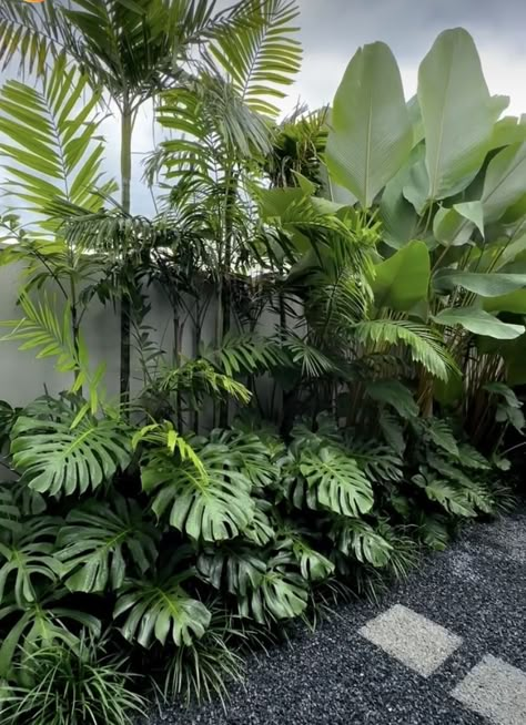 Using symmetry in your planting design can create a balanced and harmonious look. Tropical Yard Landscape, Tropical Garden Pool, Outdoor Tropical Patio Ideas, Tropical Garden Design Small Spaces, Patio Greenery, Tropical Outdoor Patio, Tropical Front Yard Landscaping, Bright Boho Living Room, Wallpaper In Home