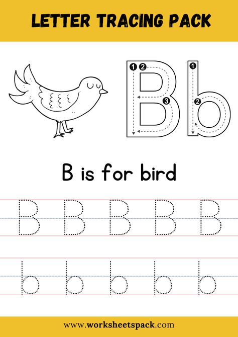 B is for Bird Coloring, Free Letter B Tracing Worksheet PDF - Printable and Online Worksheets Pack Trace Letter B Worksheet, Bird Worksheets Preschool Free Printable, Letter B Worksheets For Kindergarten, Letter B Tracing Worksheet, Letter B Worksheets For Preschool, B Tracing Worksheet, Kindergarten Vocabulary Words, Bird Worksheet, Letter B Worksheet