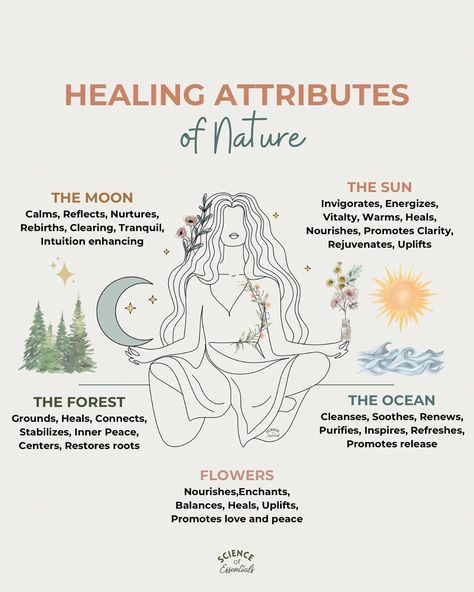 Holly | Essential Oil Education | Expressing gratitude this #earthday for all the healing properties of nature. 🌎🍃 “We must turn to nature itself, to the observations of… | Instagram Grounding In Nature, Dopamine Serotonin, Nature Spirituality, Healing Nature, Nature Healing, Walk In The Forest, Relaxation Response, Essential Oil Education, Cells Activity