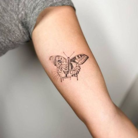 27 Easy Lion Tattoo Ideas: Simple yet Meaningful Designs - besttattoo.wiki - Unveiling Exquisite Ink Art Lion In Butterfly Tattoo, Lion With Butterfly Tattoo For Women, Lioness Butterfly Tattoo, Butterfly With Lion Face Tattoo, Lioness And Butterfly Tattoo, Leo Butterfly Tattoo, Butterfly And Lion Tattoo, Butterfly Meaningful Tattoo, Lioness Line Tattoo