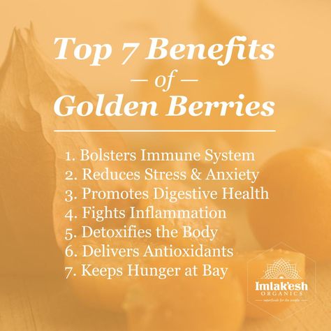 top 7 benefits of golden berries Golden Berry, Golden Berries, Benefits Of Berries, Garden Fruit, Complementary Medicine, Healing Foods, Bowl Of Cereal, Herbal Healing, Super Foods