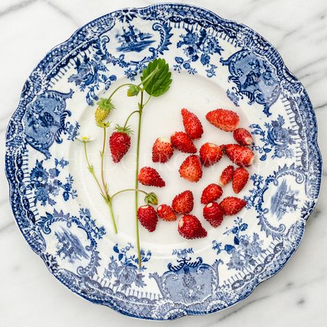 Growing Alpine Strawberries 'Mignonette' Cloister Garden, Growing Berries, Alpine Strawberry, Night Outside, Strawberry Beds, Alpine Strawberries, Summer Shoot, Blue And White Art, Wooden Containers