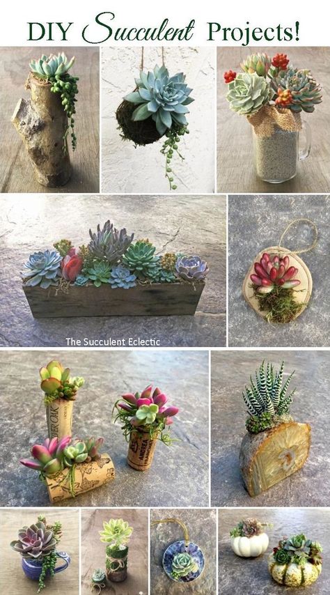 How To Make Succulent Arrangements, Selling Succulents At Markets, Succulent Workshop Ideas, Succulent Crafts Diy, Diy Succulent Gift Ideas, Succulent Decor Ideas, Succulent Centerpiece Ideas, Succulents Crafts, Succulent Container Ideas