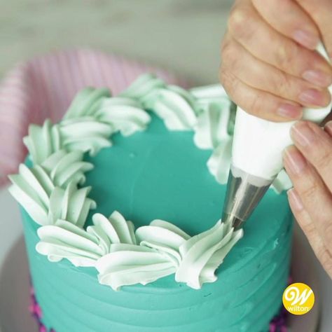 52K views · 1.5K reactions | How to Pipe a Braided Border | Top off your cake design with a unique, easy to pipe braided border using tip 1M! Find the written instructions here: http://ow.ly/Xd3X50yyXXJ | By Wilton Cake Decorating | Facebook Easy Icing, Frosting Techniques, Cake Piping, Torte Cupcake, Cake Decorating Piping, Creative Cake Decorating, Cake Decorating Frosting, Wilton Cakes, Easy Cake Decorating