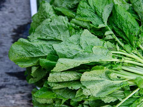 Mustard Greens: Nutrition Facts and Health Benefits Sawi Hijau, Pickled Mustard Greens, Chinese Mustard, Mustard Plant, Sistem Pencernaan, Fairy Food, Pigs Eating, Types Of Vegetables, Mustard Greens