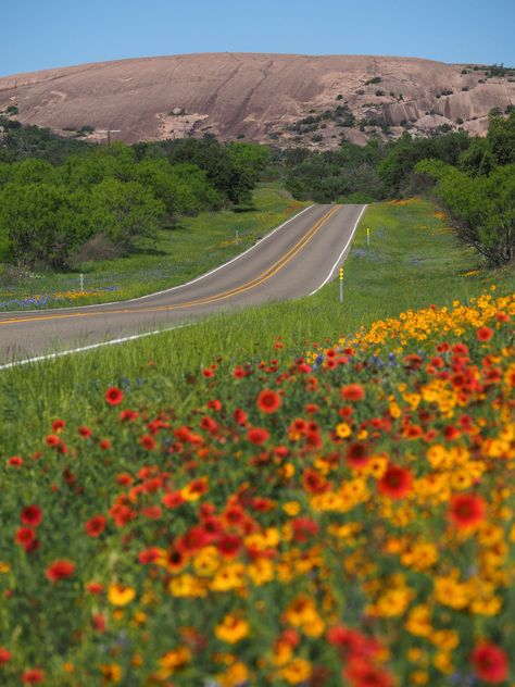 Texas Hill Country Aesthetic, Texas Scenery, Texas Aesthetic, Texas Spring, Texas Trip, Environment Reference, Visit Texas, Spring Break Destinations, Spring Getaway