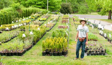 Mike Interviews a Very Successful Backyard Grower from Tennessee. - Mike's Backyard Nursery Backyard Nursery Business, Green House Siding, Plant Nursery Business, Acreage Ideas, Mean Things To Say, Homestead Business, Backyard Nursery, Wholesale Plant Nursery, Nursery Idea