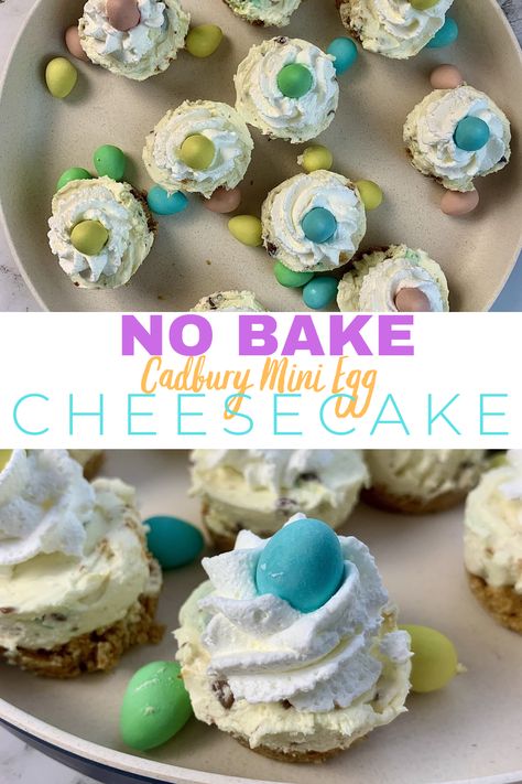 Celebrate Easter and try these No Bake Mini Egg Cheesecakes! These No Bake Mini Egg Cheesecakes are the perfect Easter dessert that’s easy to make and fun to eat, featuring everybody’s favourite Easter candy! #easter #dessert #baking #bakedgoods Mini Egg Cheesecake, Cheesecake Easter, Mini Egg Muffins, Mini No Bake Cheesecake, No Bake Cheesecake Filling, Cheescake Recipe, Yogurt Dessert, Chocolate Yogurt, Mini Egg