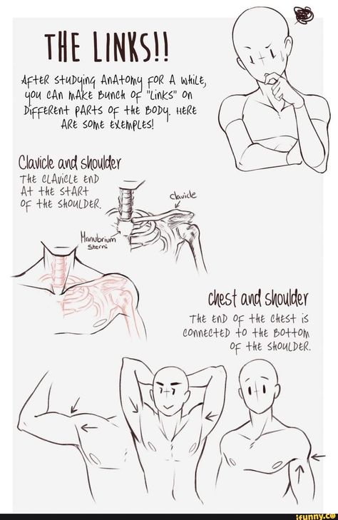 Awesome! :) Anatomy Tutorial, Art Advice, Anatomy Sketches, Body Reference Drawing, Anatomy Drawing, Poses References, Body Drawing, Body Reference, Anatomy Reference