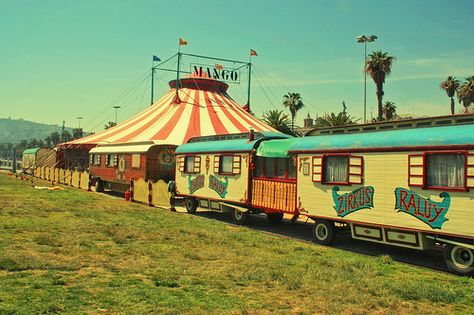 Grace Quote, Old Circus, Circus Aesthetic, Circus Sideshow, Circus Train, Dark Circus, Night Circus, Circus Tent, Circus Art