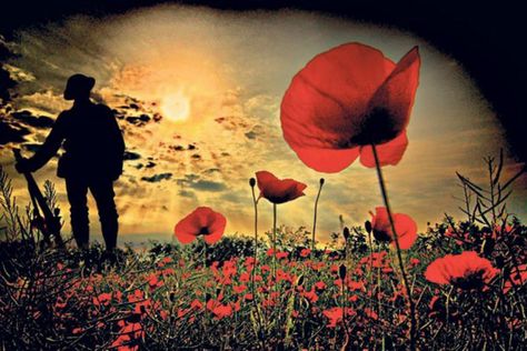 Remembrance Day Pictures, Remembrance Day Posters, Remembrance Day Art, Soldier Images, Veterans Day Weekend, Soldier Tattoo, Remember The Fallen, Flanders Field, Armistice Day