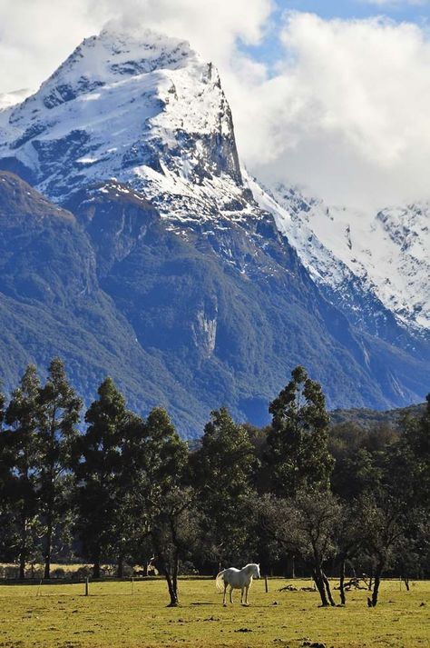 Glenorchy, New Zealand. God help the travel companion who will suffer my LOTR quoting, should I ever get to New Zealand. Nee Zealand, Nz Scenery, Glenorchy New Zealand, Nz Landscape, Manual Driving, New Zealand South Island, Divine Nature, New Zealand Travel, South Island