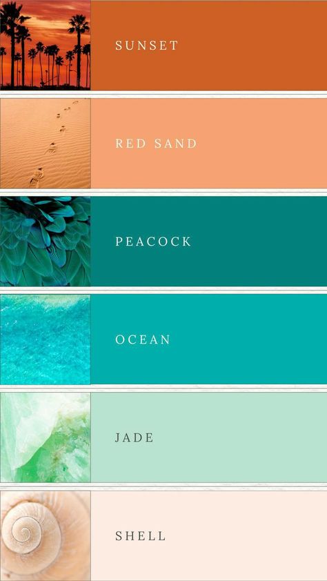 Teal Colors Palette, Colours That Go With Turquoise, Turquoise Terracotta Color Schemes, Tropical Color Pallette, Beach Summer Color Palette, Beach Colours Palette, August Color Scheme, Colors That Go Good Together, Summer Garden Color Palette