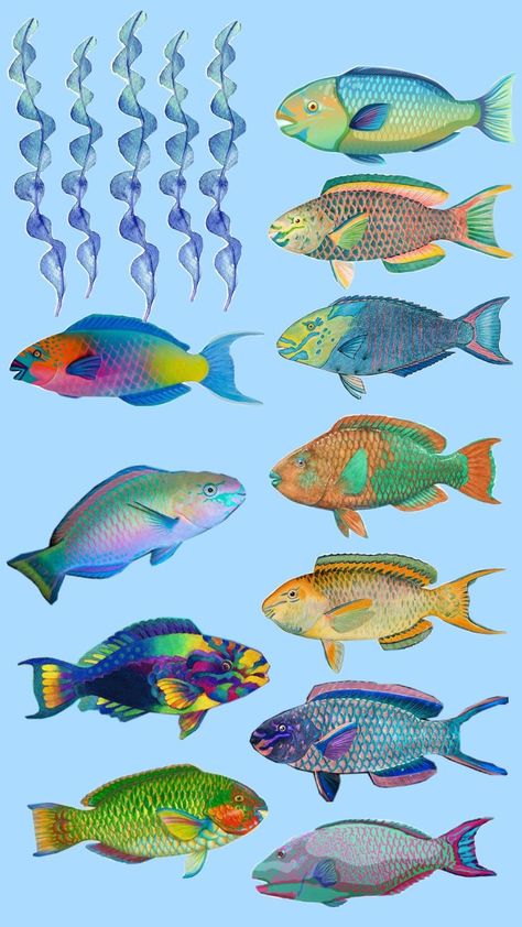 parrot fish variant Parrot Fish Painting, Parrot Fish Drawing, Parrot Fish Tattoo, Parrotfish Tattoo, Parrotfish Illustration, Sea Creature Tattoo, Creature Tattoo, Parrot Fish, Fish Artwork