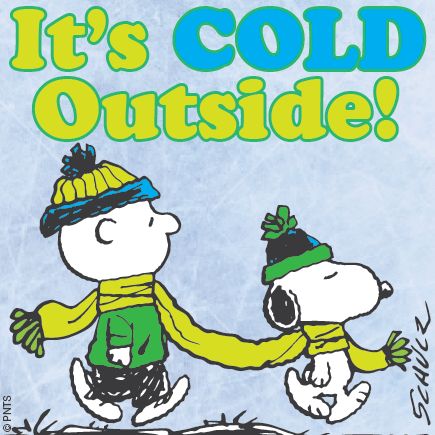 It's cold outside! Funny Snoopy, Charles Shultz, Snoopy Collection, Snoopy Funny, Peanuts Cartoon, Snoopy Quotes, Snoopy Pictures, Snoop Dog, Snoopy Love