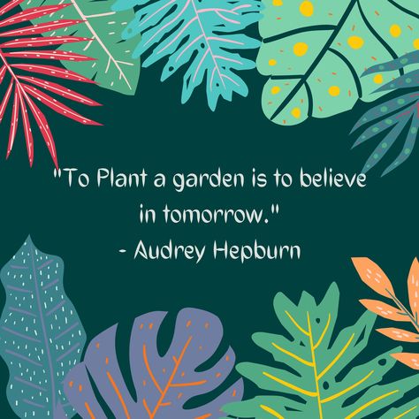 I Love Plants Quotes, Plants Quotes Life Inspiration, Quotes About Plants, Go Green Quotes, 2024 Word, Plant Quotes, Environmental Quotes, Mama Quotes, Better Quotes