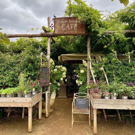 Greenhouse Cafe, Studio Decoration, Coffee Shop Concept, Petersham Nurseries, Farm Cafe, Companion Gardening, Outdoor Restaurant Design, Small Cafe Design, Cafe Shop Design