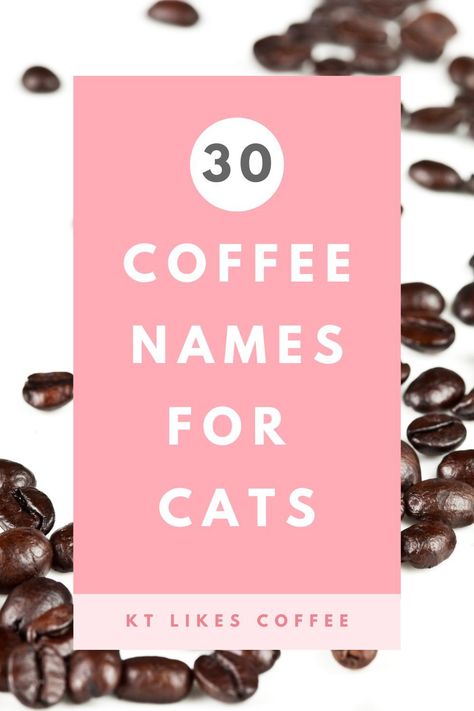 Cats and coffee go together like...well I don't know what exactly, but they go together. And, there are so many inspiring coffee words and terms that make the perfect name for your cat. Check out these coffee names for cats. Plus discover some awesome coffee companies that support shelter cats! Fun Coffee Drinks, Names For Cats, Coffee And Cats, Hazelnut Creamer, Coffee Names, Coffee Words, Drink Names, Getting A Kitten, Light Roast Coffee