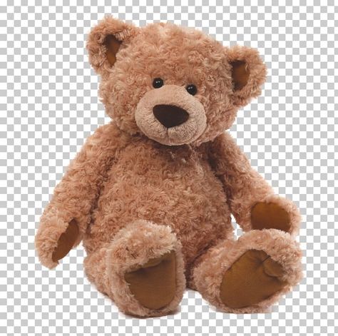 Teddy Bear Png Aesthetic, Bear Png Aesthetic, Png Decoration, Homework Inspiration, T Shirt Text Design, Png Teddy Bear, Teddy Bear Art, Png Bear, Teddy Bear Png