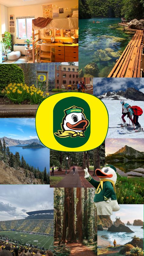 #oregon #university #collage University Collage, Oregon Aesthetic, Oregon University, Oregon Ducks Logo, Oregon College, College Readiness, Oregon State University, College Fits, Dream College