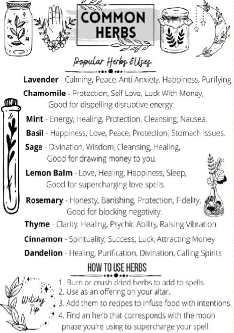 Printable Beginner Witchcraft Basics Guide, Basics Of Magick Set 2, Grimoire Sheets 5 Witchcraft Guide, Beginner Grimoire, Witchcraft Essentials, Witchcraft Basics, Free Witchcraft Printables, Wiccan Beginner, Basic Herbs For Witchcraft, Basic Witchcraft Definitions, Book Of Shadows Pdf Worksheet