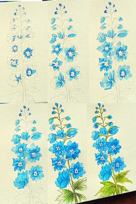 Delphinium Painting Acrylic, Delphinium Flower Illustration, Painting Delphiniums, Delphinium Flower Drawing, Delphinium Painting, Aesthetic Doodles, Delphinium Flower, Delphinium Flowers, Paint Tutorial