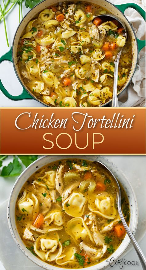 chicken tortellini soup with carrots and a blend of seasonings Tortellini Soup Skinnytaste, Chicken Soup Ideas Crockpot, Chicken Tortellini Vegetable Soup, Chicken Noodle Soup With Tortellini, Tortellini Soup Broth Based, Soups And Casseroles, Italian Soup With Tortellini, Easy Tortellini Soup Crockpot, Healthy Soup Recipes With Chicken