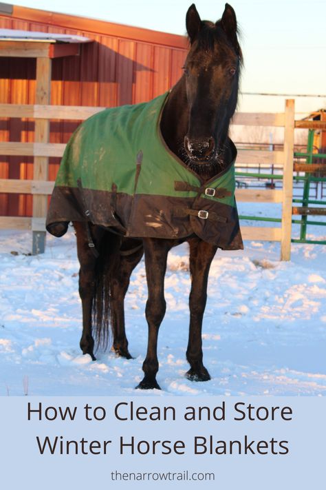 Horse Blankets Winter, Winter Horse, Hitching Post, Out Of Mind, Winter Blankets, Horse Blankets, Square Blanket, Fabric Patch, Horse Hair