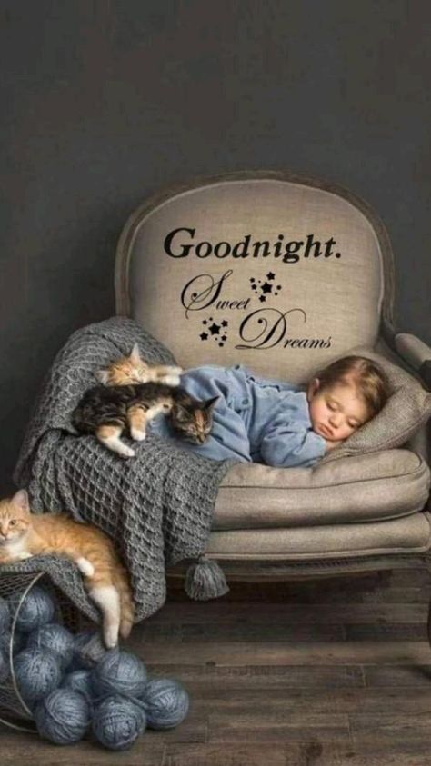 Good Night Sister, Good Night Cat, Good Night Sweetheart, Good Night Funny, Good Night Beautiful, God Natt, Romantic Good Night, Beautiful Good Night Images, Good Night Flowers