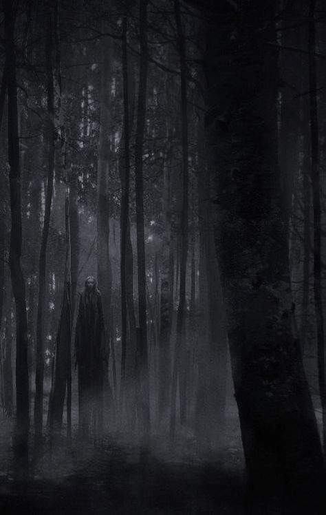 Haunting Aesthetic Dark, Dark Forest Scary, Scary Picture Aesthetic, Curse Of Strahd Aesthetic, Shadowfell Aesthetic, Scary Forest Aesthetic, Horror Scenery, Dark Woods Aesthetic, Enchanted Dark Forest