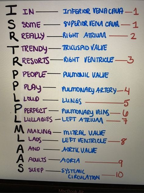 Heart blood flow Anatomy And Physiology Cardiovascular System, Heart Anatomy And Physiology, Heart Mnemonics, Coronary Circulation Flow Chart, Heart Physiology Notes, Heart Notes Anatomy, Heart Blood Flow Diagram, Blood Flow Through The Heart Mnemonic, Flow Of Blood Through The Heart