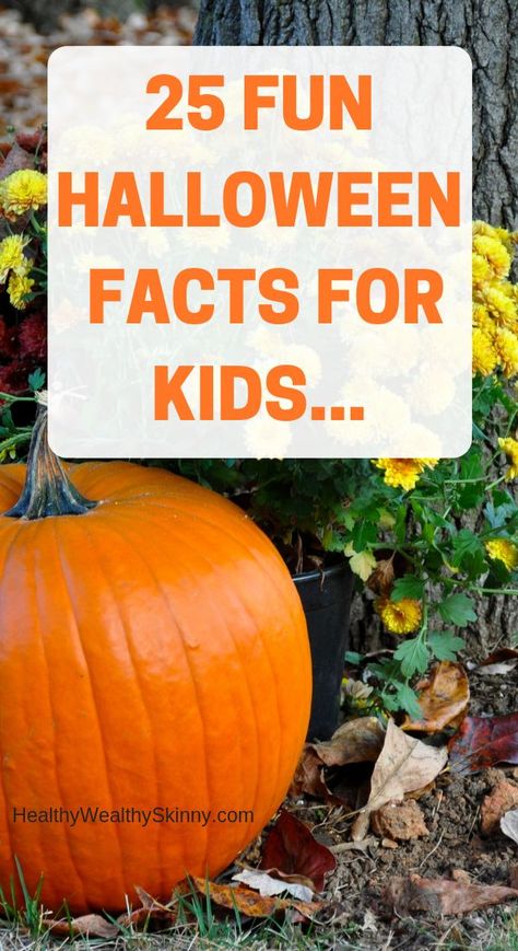 Halloween | Learn 25 Fun Halloween facts that I bet you didn't know. Teach your kids all about their favorite spooky holiday. #halloween #parenting #kids #HWS #healthywealthyskinny Halloween Facts For Kids, Spooky Facts, Halloween Customer, Halloween Club, Healthy Wealthy, Halloween Facts, Witch's Brew, Holiday Halloween, Facts For Kids