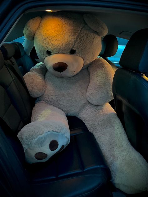 Large Teddy Bear, Big Teddy Bear, Big Teddy, Teddy Bear Wallpaper, Giant Teddy Bear, Giant Teddy, Soft Teddy Bear, Cute Stuffed Animals, Birthday Wishlist