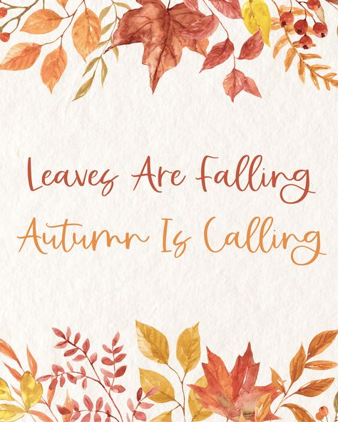 These 8x10 free fall printables will give your home an autumn touch. From fall subway art to buffalo check pumpkin art, there are plenty of fall printables to frame and add to your fall decorations and home decor. Fall 8x10 Printables, Nature, November Clipart Free, Fall Stencils Free Printable, Free Fall Printables 8x10, Fall Printables Free Autumn, Fall Posters, Fall Subway Art, Free Printable Artwork