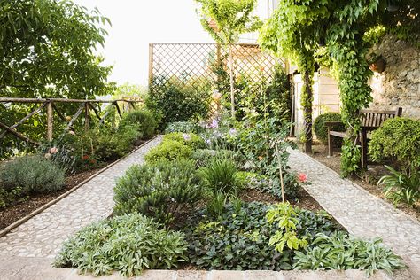 A Plant-Filled Trellis Parterre Garden, Rustic Pergola, Sensory Garden, Edwardian House, Starting A Garden, Mediterranean Garden, Landscaping Tips, Edible Plants, Small Backyard Landscaping