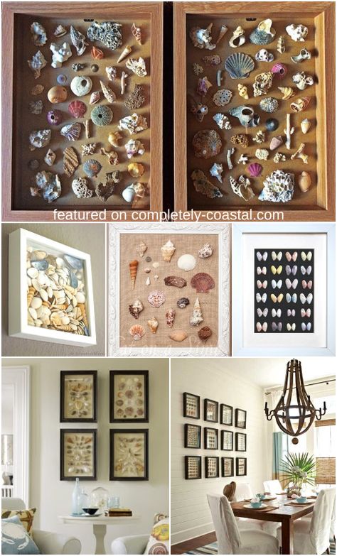 Enjoy the shells you collected on the beach as shell wall art. How to organize and arrange your shells in frames. Creative ideas for DIY shell wall art and interior room designs with shell art. Featured on Completely Coastal. Recycle Center, Easy Diy Wall Decor, Diy Interior Doors, Shell Wall Art, Diy Wall Decor Ideas, Shell Diy, Diy Furniture Repurpose, Beach Craft, Seashell Wall Art