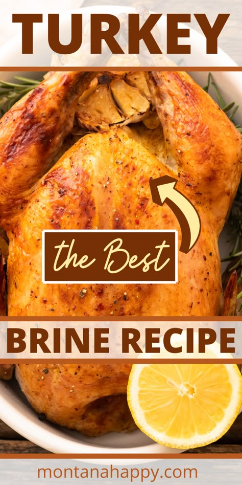 Whole cooked turkey with half a lemon Crockpot Recipes Summer, Dinner Recipes Winter, Best Turkey Brine, Brine Turkey, Turkey Brine Recipe, Best Turkey Recipe, Christmas Turkey Recipes, Spring Dinner Recipes, Brine Recipes