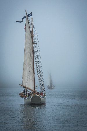 Things to do near Pemaquid Point, Maine New Harbor Maine, Bristol Maine, Maine Trip, Sailing Ships, Bristol, Lighthouse, Trip Advisor, Letting Go, The 10