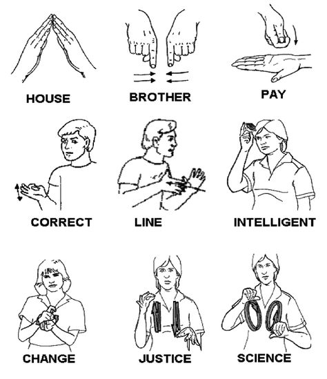 #asl #signlanguageforkids #signlanguagebasics #words #science #justice #change #intelligence Basic Sign Language For Beginners, Asl Words, Makaton Signs, Common Sence, Simple Sign Language, Hand Sign Language, Asl Sign Language Words, Sign Language Chart, Sign Language Lessons