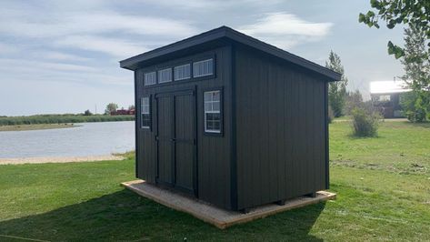 Dark Shed Colors, Black Shed With Wood Accents, Black Shed With Wood Trim, Black Sheds, Brown Shed, Shed Black, Black Shed, Shed Colours, Wood Accents