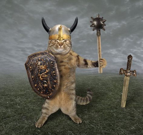 Viking Cats - DNA Study Shows the Crucial Role Felines Played in Viking Life Arte Viking, Cat Skin, Viking Life, Viking Helmet, Ancient Vikings, Viking Age, Norse Mythology, Cat Tattoo, All About Cats