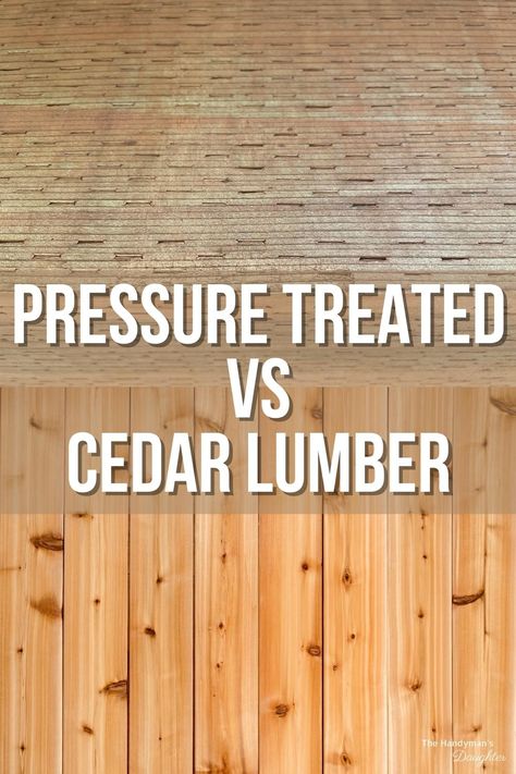 Trying to decide between cedar vs pressure treated lumber for your outdoor project? Find out the difference and pick the best one for you! Cedar Wood Projects Diy, Summer Wood Projects, Staining Pressure Treated Wood, Lake Porch, Cedar Projects, Bin Cover, Cedar Wood Projects, Easy Shed, Outdoor Wood Projects