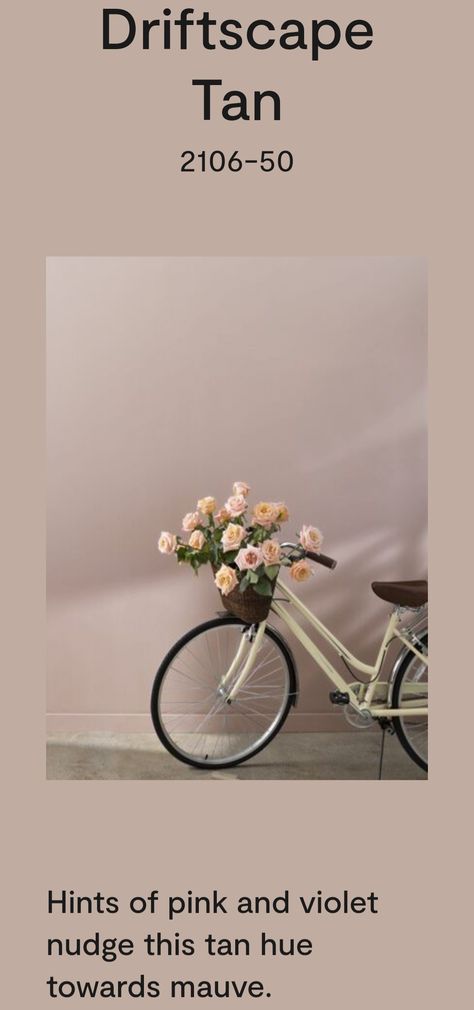 Driftscape Tan By Benjamin Moore, Benjamin Moore Driftscape Tan, Hint Of Mauve Benjamin Moore, Wisp Of Mauve Benjamin Moore, Tan Paint, Kids Rooms Inspo, Half Bathroom, Basement Ideas, Benjamin Moore